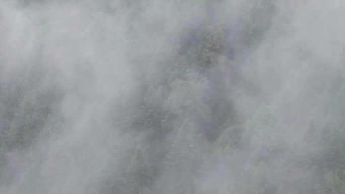 空中喜怒无常的山林与云使用长焦镜头4K