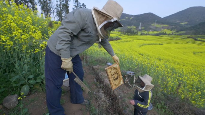 养蜂人取蜜过程