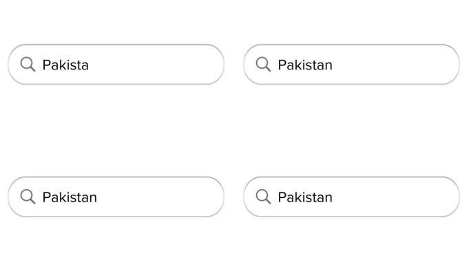 搜索栏动画白色与巴基斯坦文本框搜索