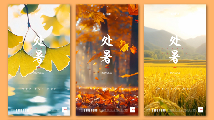 处暑节气地产广告AE模板