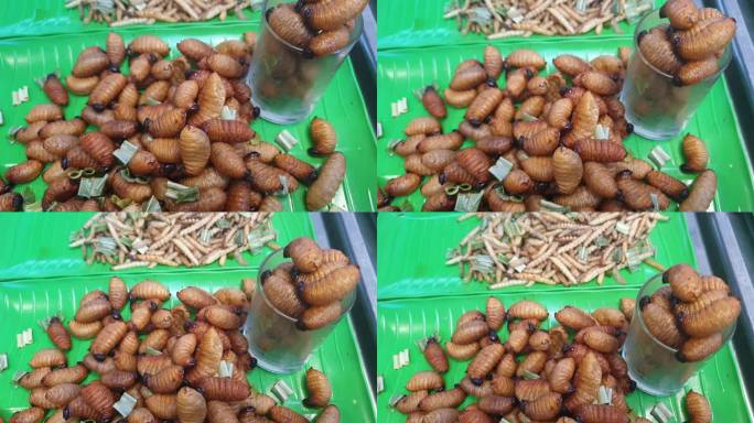 幼虫棕榈虫象鼻虫油炸昆虫小吃在东南亚市场销售异国情调的食品