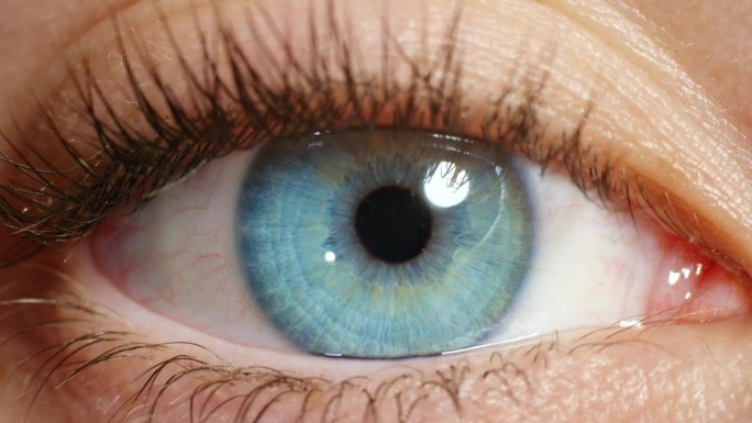 视觉上，清醒人的蓝眼睛和宏观看着美丽而自然的虹膜颜色。在验光测试中，瞳孔移动的人的健康、孤立和令人惊