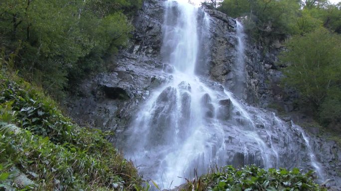 慢动作的两阶段部分瀑布从高岩石在森林中流动