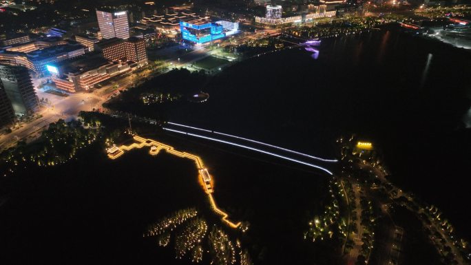 上海滴水湖洲际酒店夜景航拍