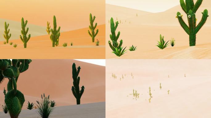 荒凉沙漠植物唯美风景