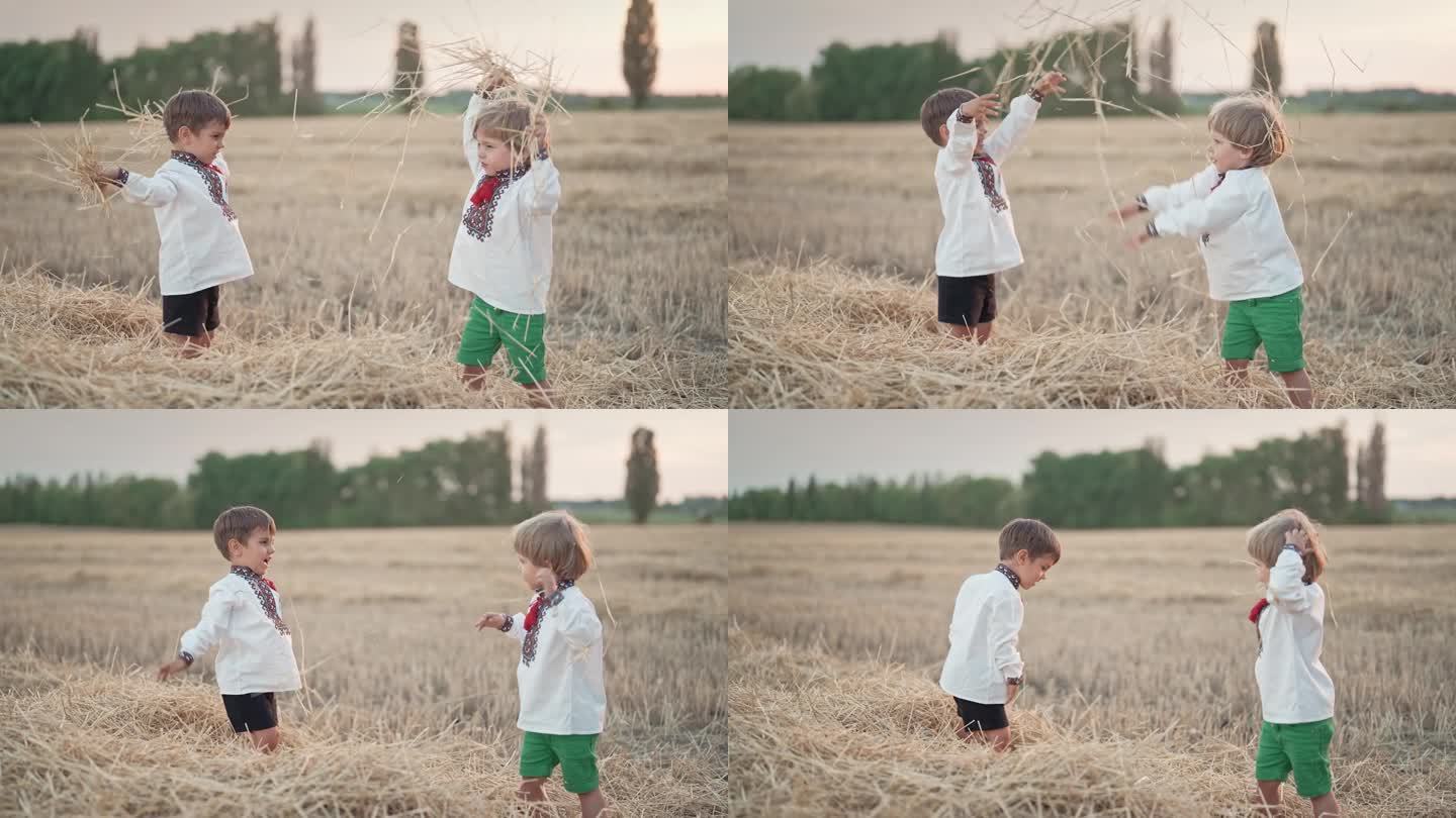 乌克兰小孩在玩干草，把它扔起来。快乐的童年。收获后在麦田里欢笑的男孩们。
