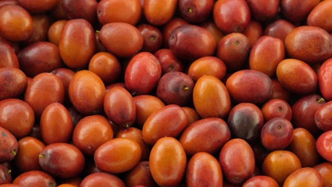 枣子或酸枣背景水果旋转。收获成熟有用的浆果。酸枣果实(尤纳比常见，中国玉巴-枣树的外来果实)