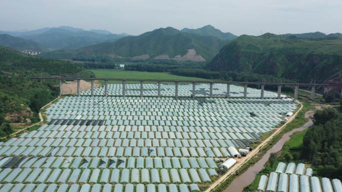 航拍农业大棚  蔬菜种植基地