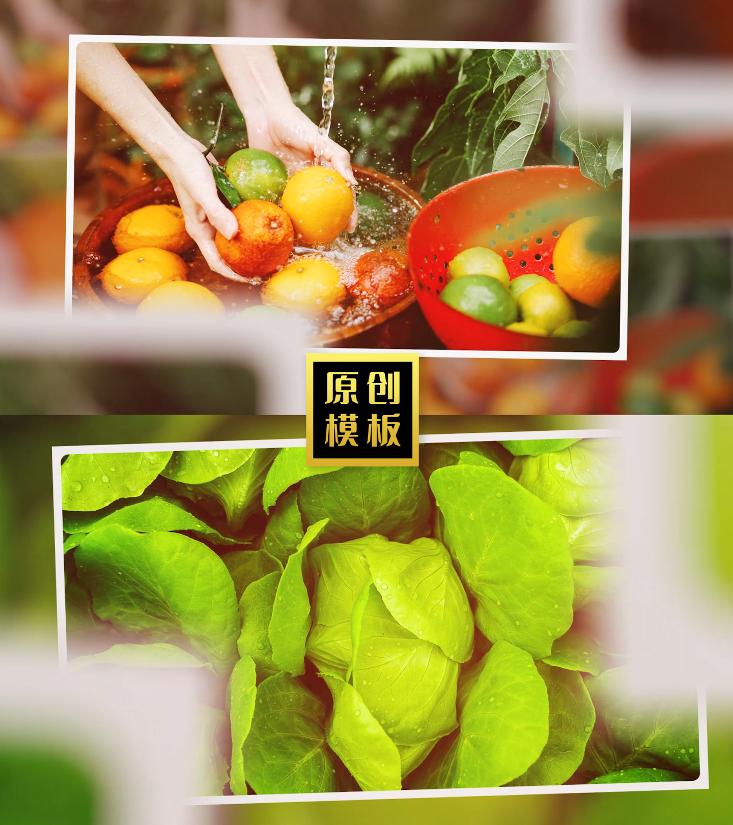 生态图片展示绿色农业产品照片包装