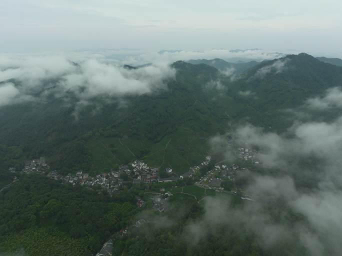 航拍龙井村