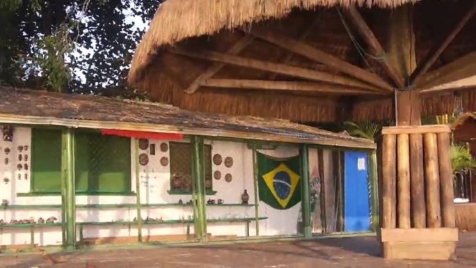 从树叶和树枝到稻草庇护所和建筑与巴西国旗-倾斜向上到向下，然后从右向左滑动，然后缩放。