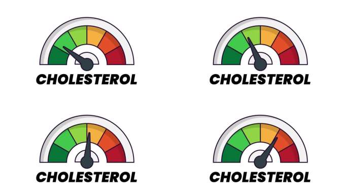 带箭头和刻度的胆固醇水平测量仪。4K动态动画。