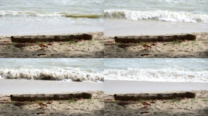 一根木头躺在海边的沙滩上