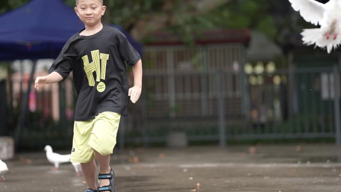 小孩与鸽子公园实拍