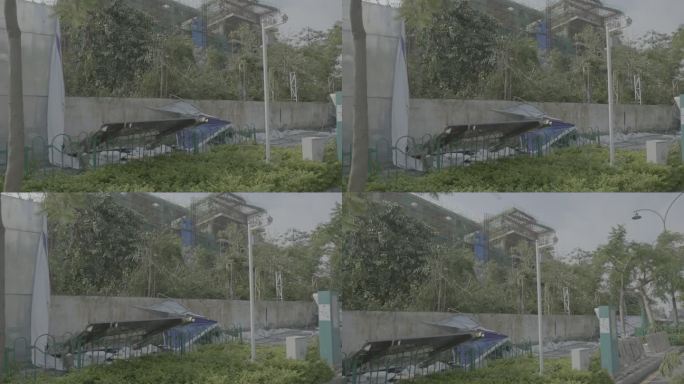 台风后的厦门重建工作