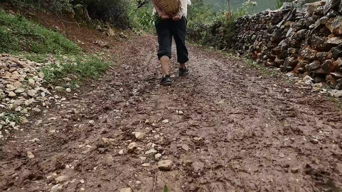 小伙子背着竹篓去山上挖土