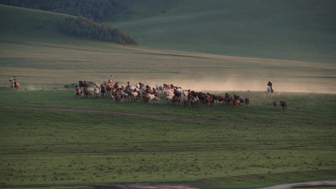 内蒙古大草原上万马奔腾牛羊成群