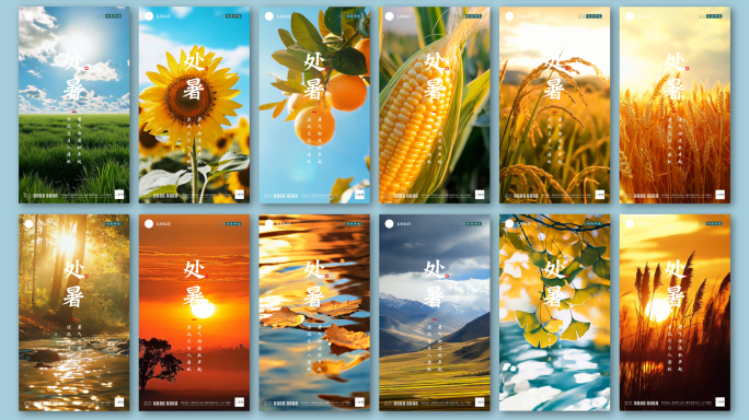 处暑传统二十四节气AE模板