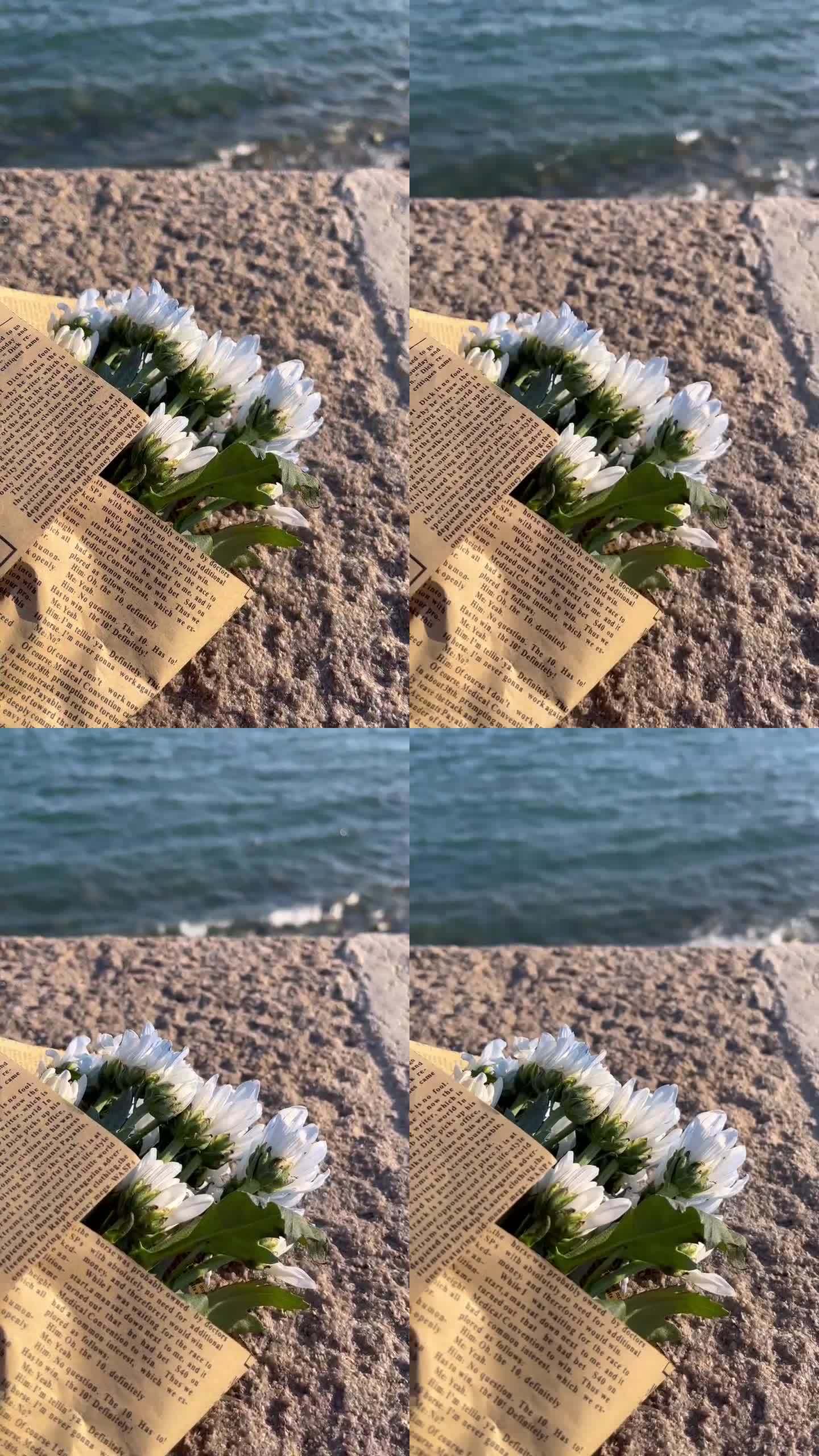 海边石栏 鲜花