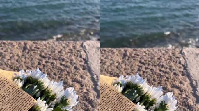 海边石栏 鲜花