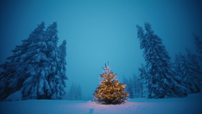 白雪覆盖的林间空地上，圣诞树在灯光下闪闪发光