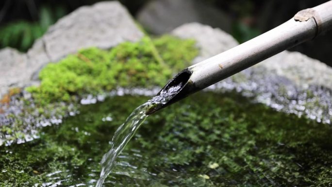 禅宗花园中日本竹水喷泉Shishi-Odoshi的慢动作