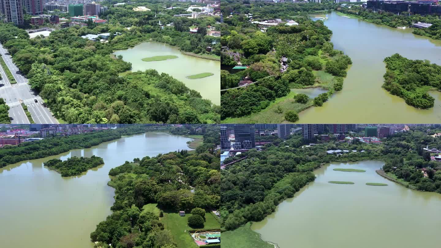 深圳华侨城国家湿地公园