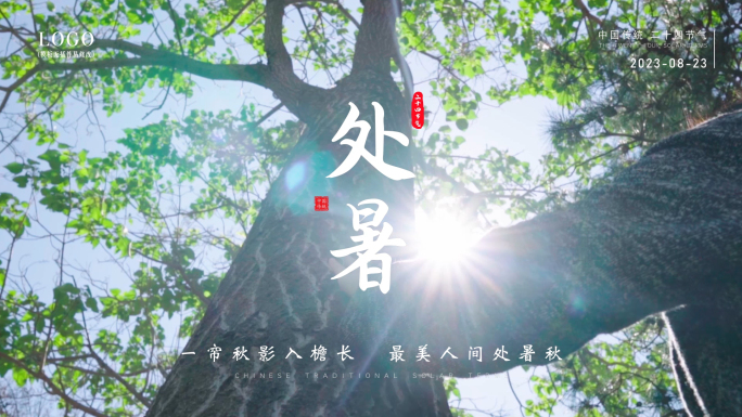 【原创拍摄】处暑节气海报节气模板