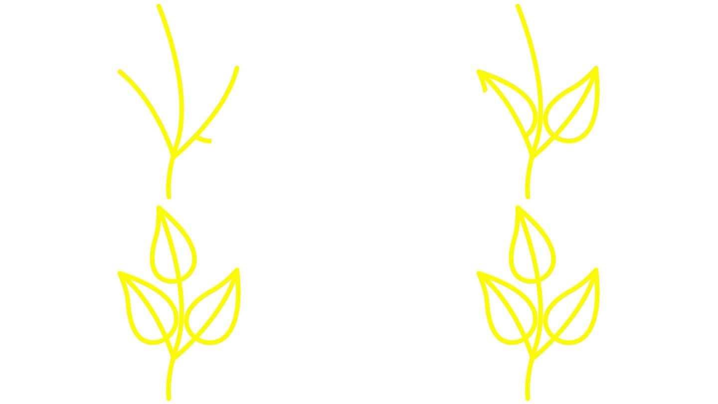 带有叶子的动画线性黄色植物。树芽的图标。符号是逐渐画出来的。有机食品的概念，生态，农艺，收获。矢量插
