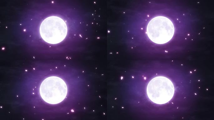 月亮樱花视频
