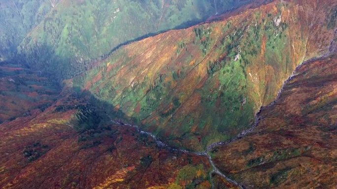 鸟瞰图的颜色混合秋林和灌丛山坡在山上