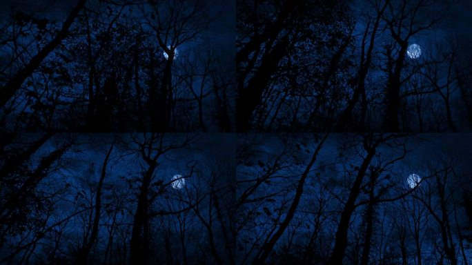 POV可怕的森林与月亮和闪电袭击