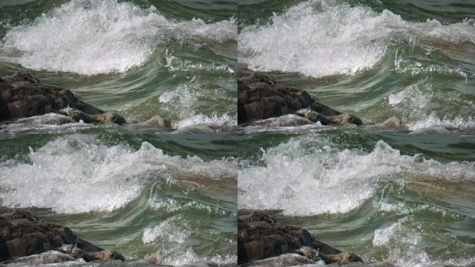 水水花大海海水海浪浪花波浪浪涛海海洋海岸