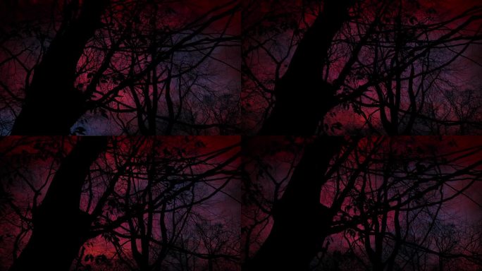 黑暗的树木和可怕的红色天空与闪电