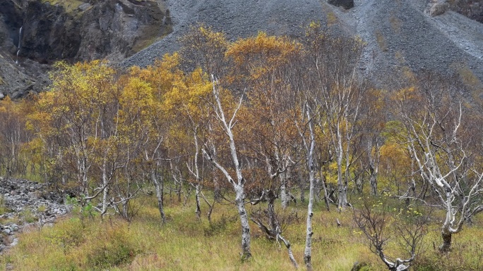 吉林长白山风景区秋季风光