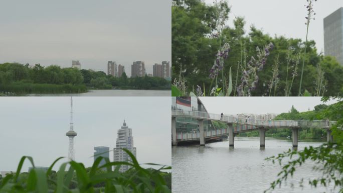 上海青浦夏阳湖