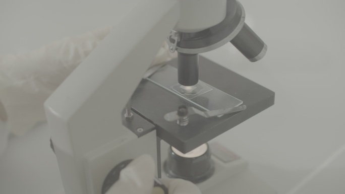 显微镜观察培养皿