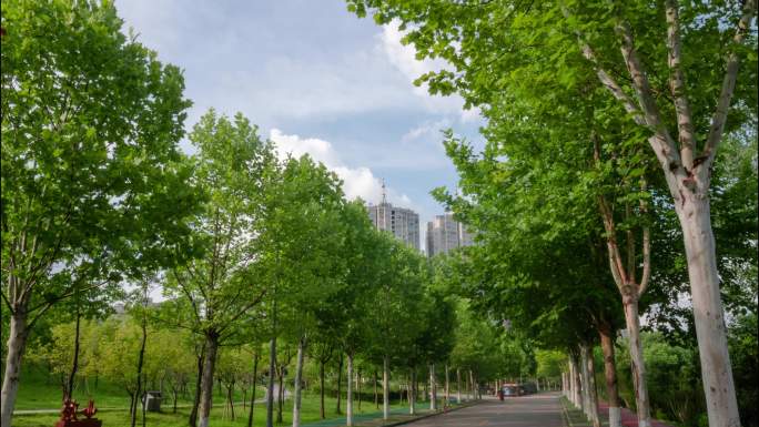 4K公园 绿色城市