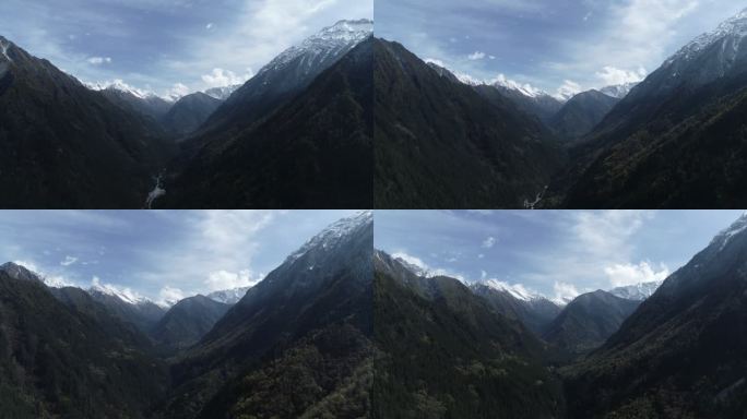 航拍  高山  森林  雪山  云层