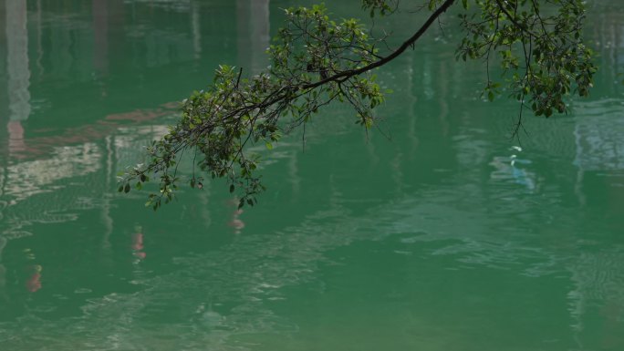 漂流 广西 香粉乡 恢弘大气 航拍 绿水