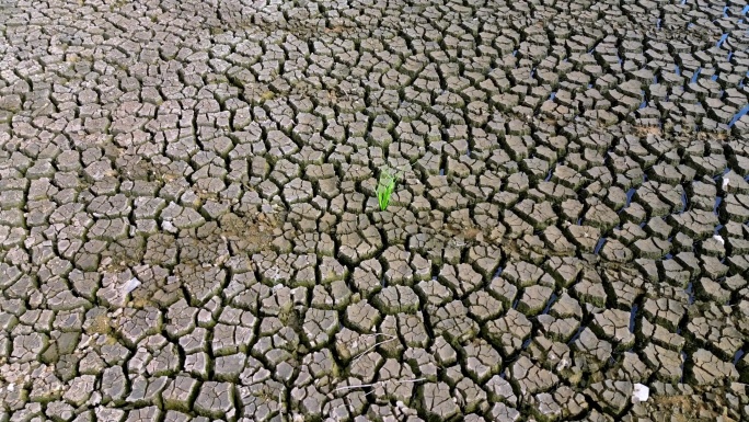 水资源匮乏干涸的大地