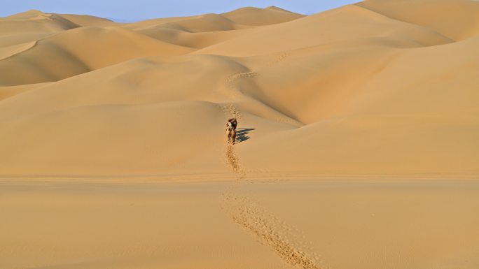 内蒙古鄂尔多斯响沙湾沙漠2