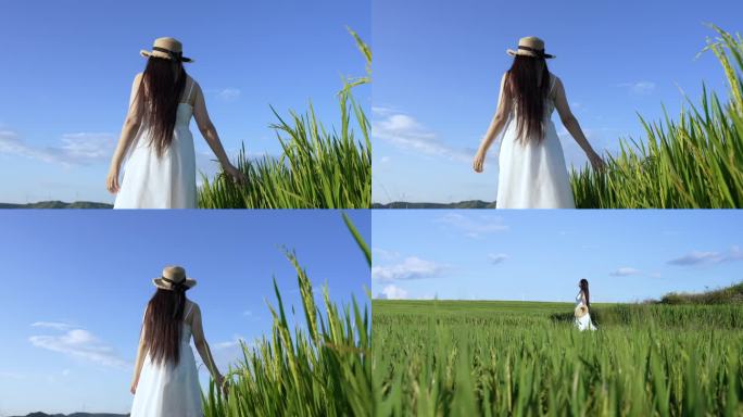 唯美白裙女孩走在稻田里-清新女孩户外散步