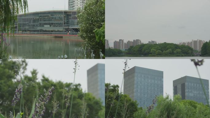 上海青浦夏阳湖