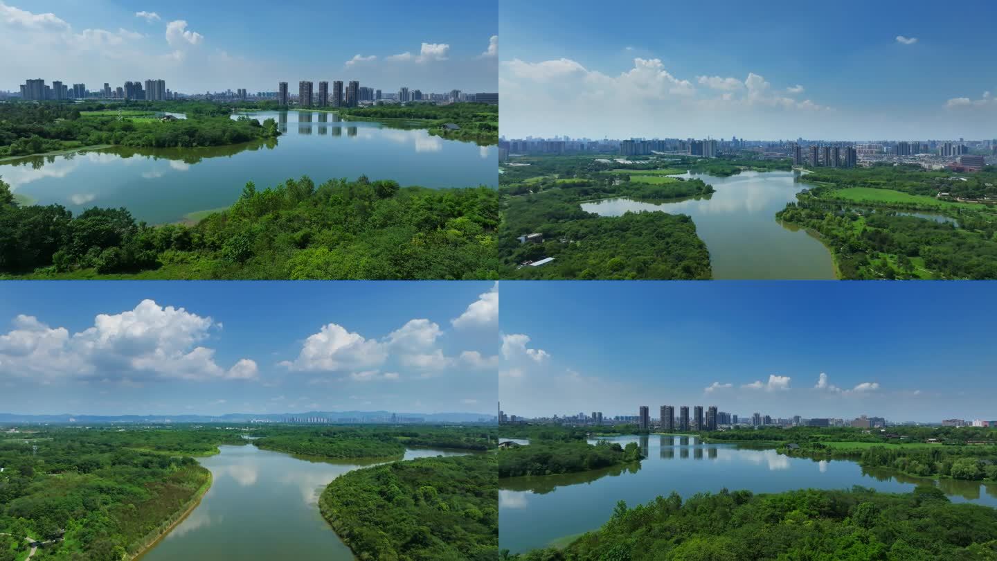 成都青龙湖湿地公园4k
