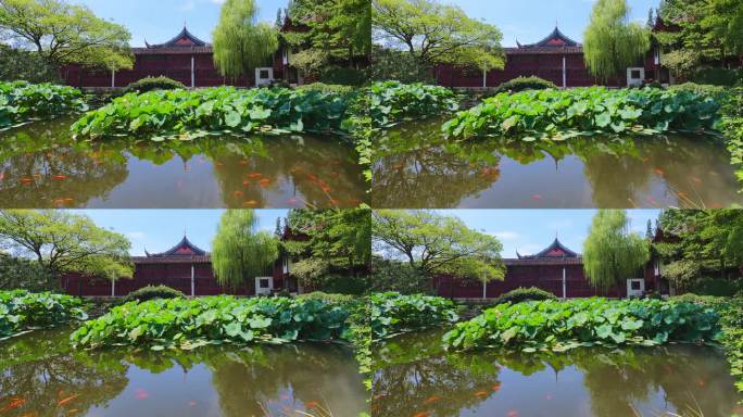 上海曲水园古典园林