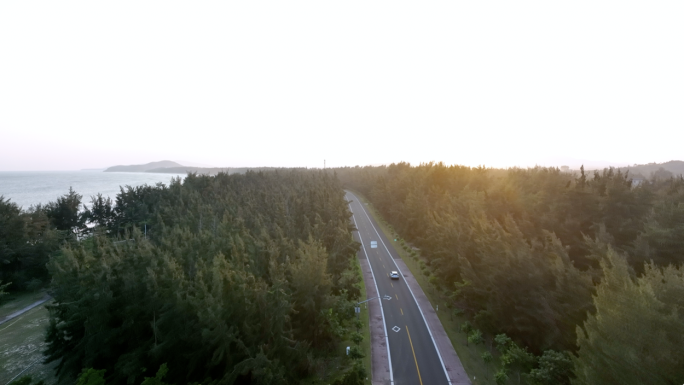 清晨汽车行驶海边森林公路汽车航拍海边公路