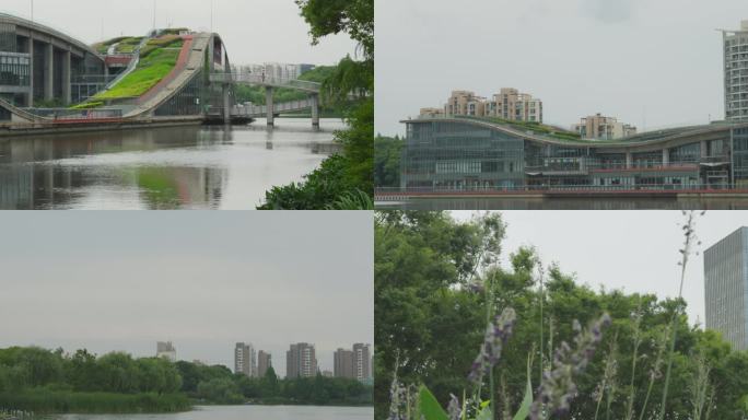 上海青浦夏阳湖