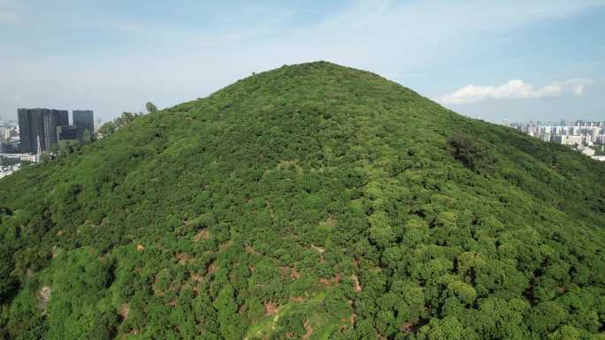 【正版素材】深圳南山塘朗山公园