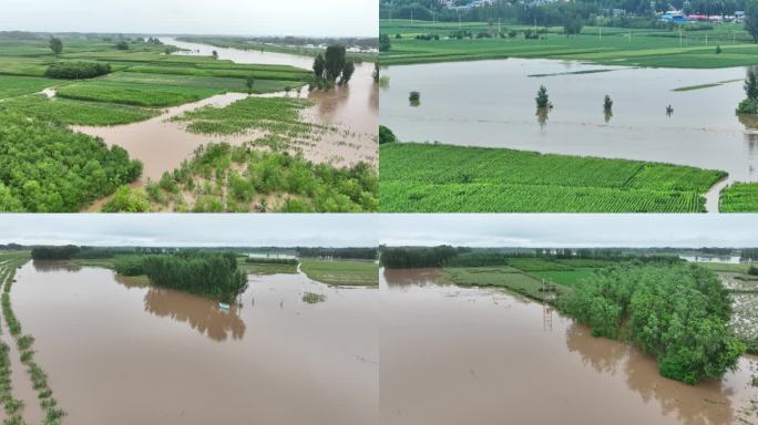 洪水淹没田地 庄稼地被淹